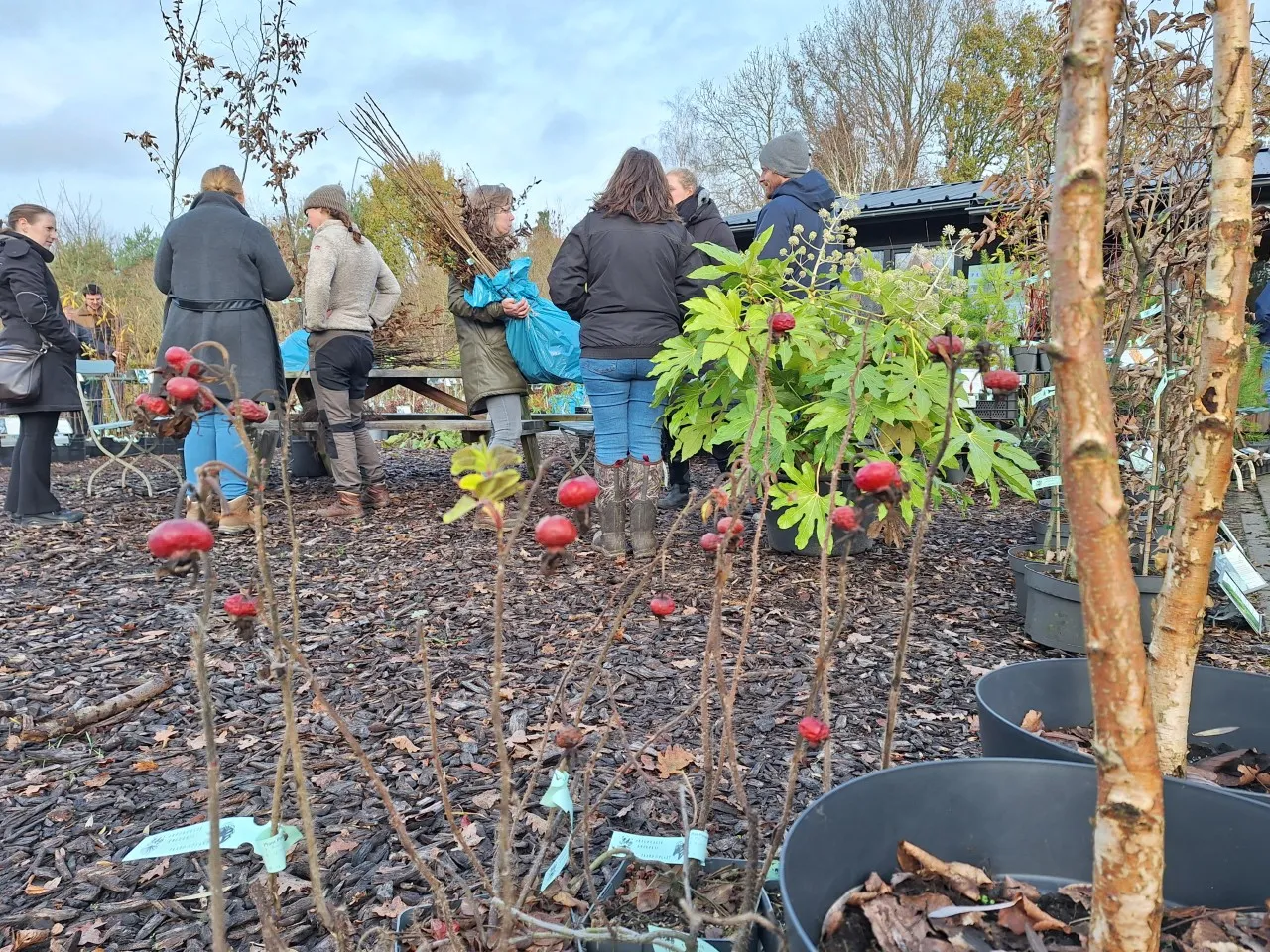 Terugblik Themadag Paardenhagen 2025