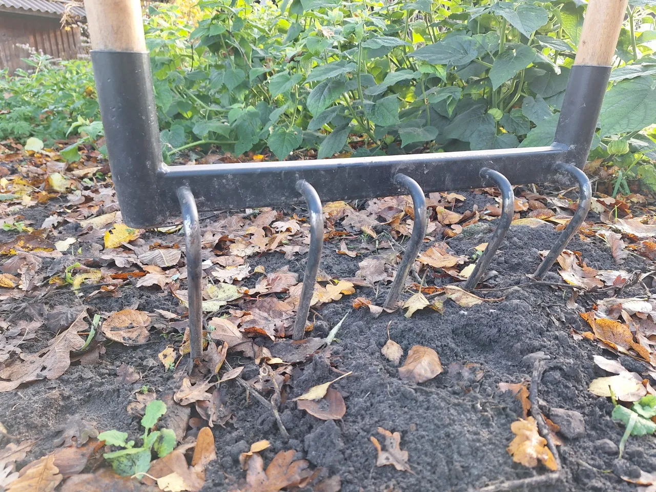 Hoe kun je bodemverdichting in paardenhuisvesting herkennen en oplossen?