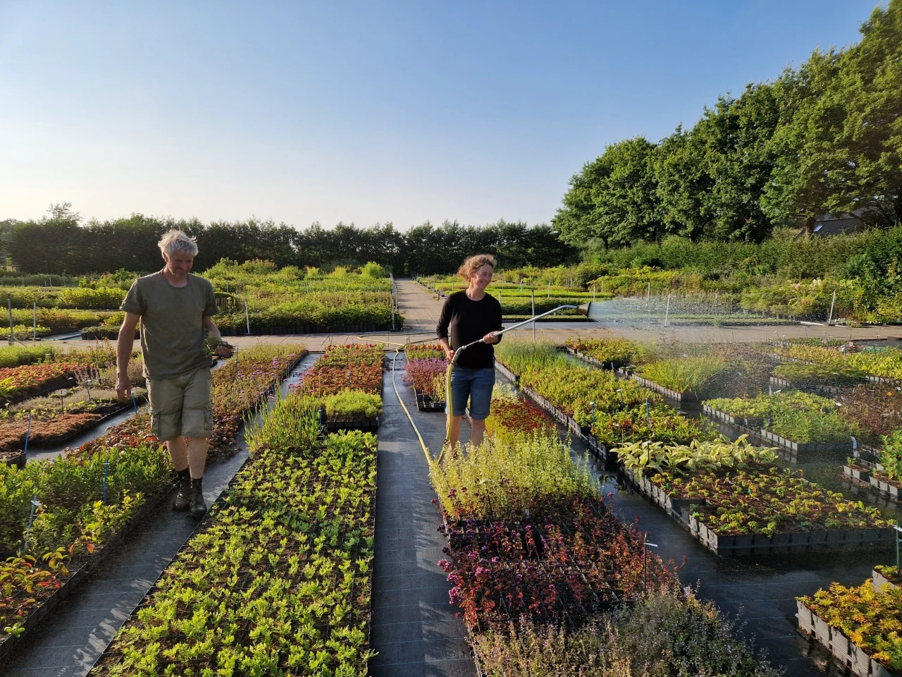 Zijn onze planten biologisch? Onze weg naar Skal-gecertificeerde planten