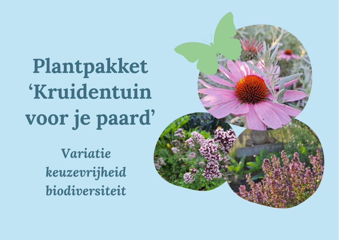 Plantpakket Kruidentuin
